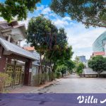 Villa Amy 1 le hong phong bai sau vung tau kim minh 7 phong ngu-bida-karaoke Hồ bơi rông, gan bien (1)