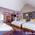 Villa Amy 1 le hong phong bai sau vung tau kim minh 7 phong ngu-bida-karaoke Hồ bơi rông, gan bien (1)