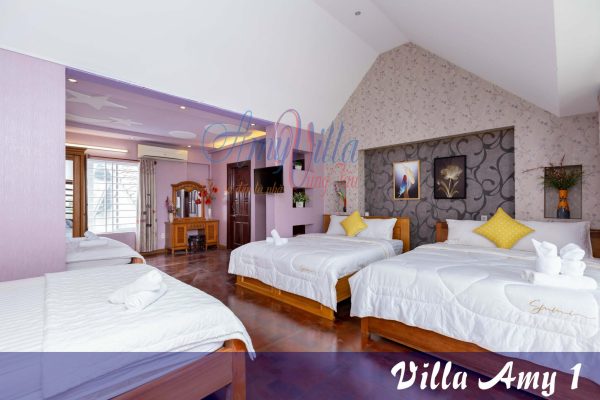Villa Amy 1 le hong phong bai sau vung tau kim minh 7 phong ngu-bida-karaoke Hồ bơi rông, gan bien (1)