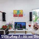 villa amy 3 kim minh gan bien bai sau biet thu co ho boi rong karaoke (1)
