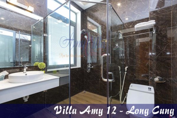 Amy-12-long-cung-8pn-Cach-bien-350-m-ho-boi-rong-100m-co-karaoke-bida-xong-hoi-tap-the-1