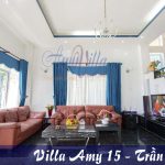 Amy-15-tran-phu-co-6-phong-ngu-cach-bien-60m-co-karaoke-bida-xong-hoi-bai-dau-vung-tau